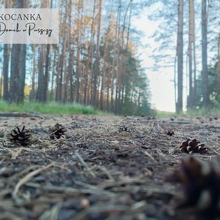 Domek w Puszczy ,,Kocanka Mezyk Zewnętrze zdjęcie