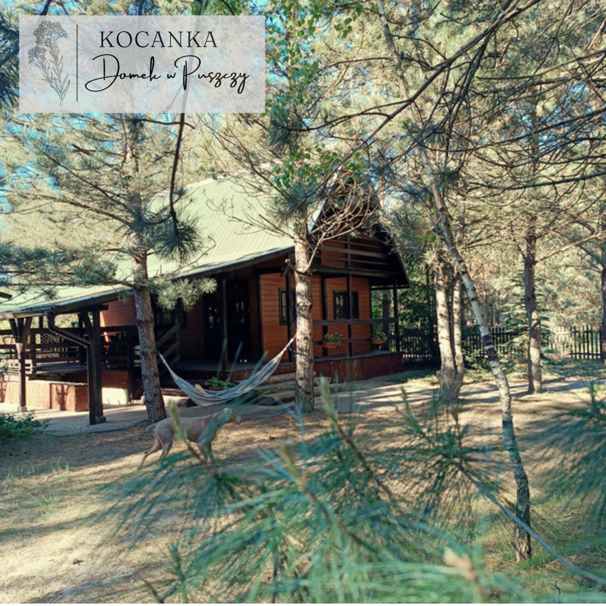 Domek w Puszczy ,,Kocanka Mezyk Zewnętrze zdjęcie